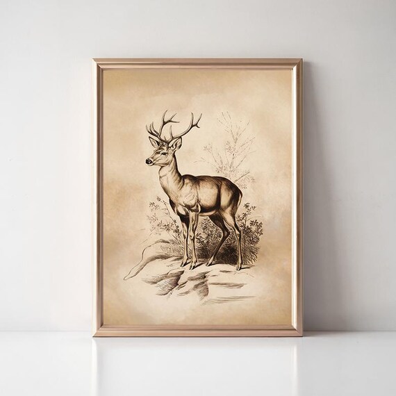 Vintage Stag Deer Antlers Sepia Illustration Antique Wildlife Poster