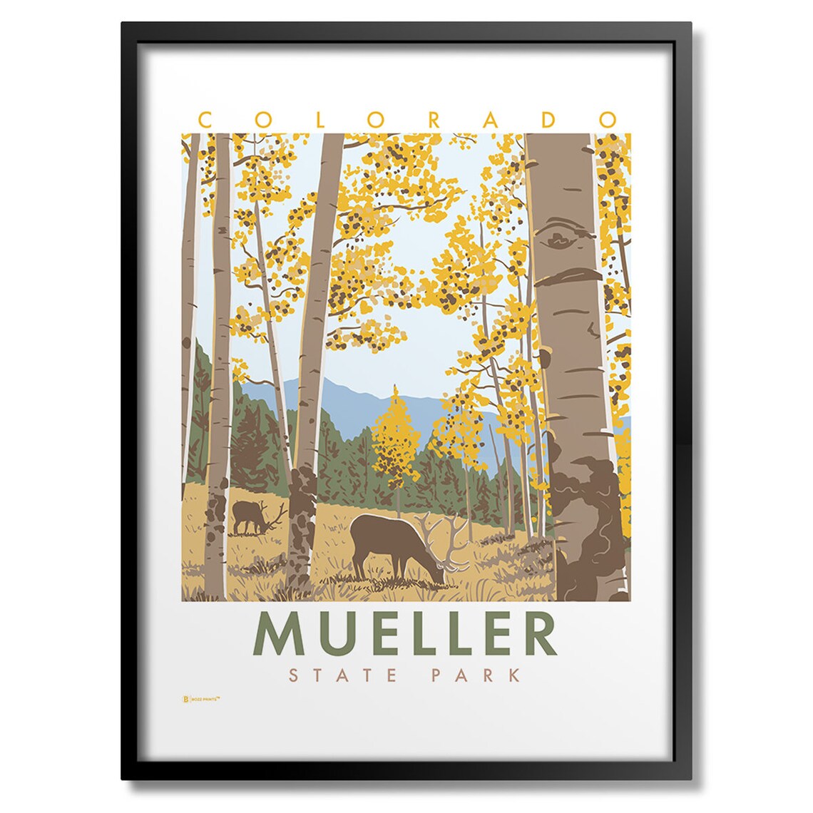 Mueller Colorado State Park Travel Poster