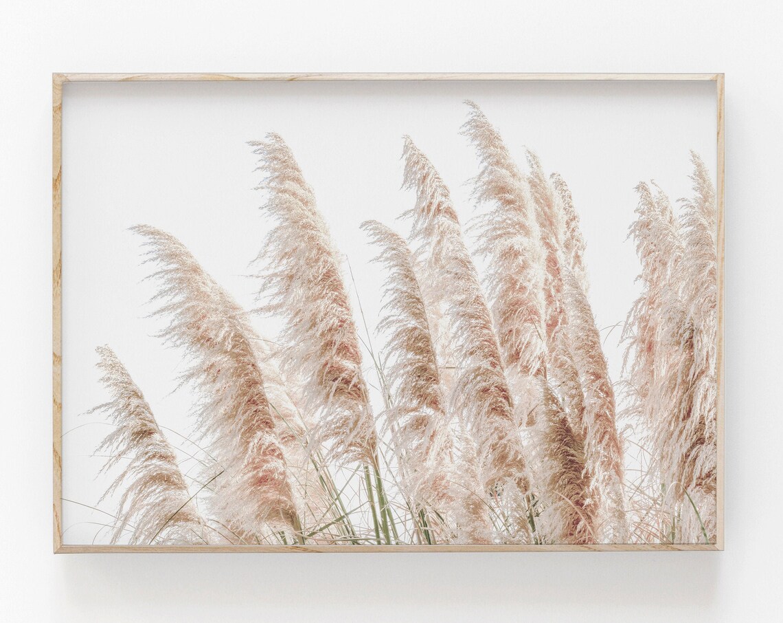 Farmhouse Pampas Grass Botanical Art Print - Image 2