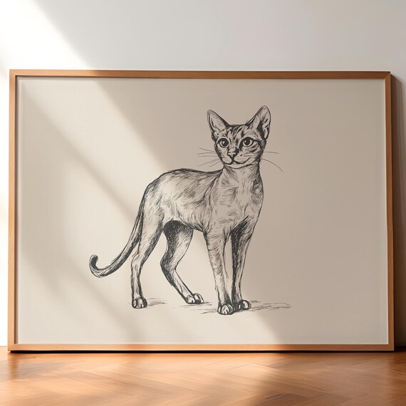 Abyssinian Cat Standing Portrait Vintage Ink Line Art Poster
