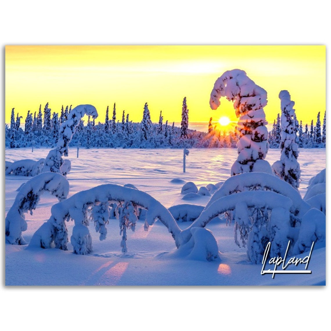 Lapland Arctic Sunset Snow Covered Trees Winter Landscape Poster