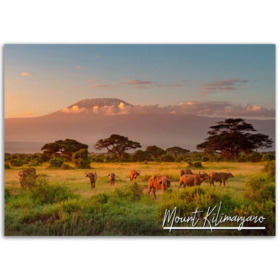 Mount Kilimanjaro Print Tanzania Travel Photo Poster