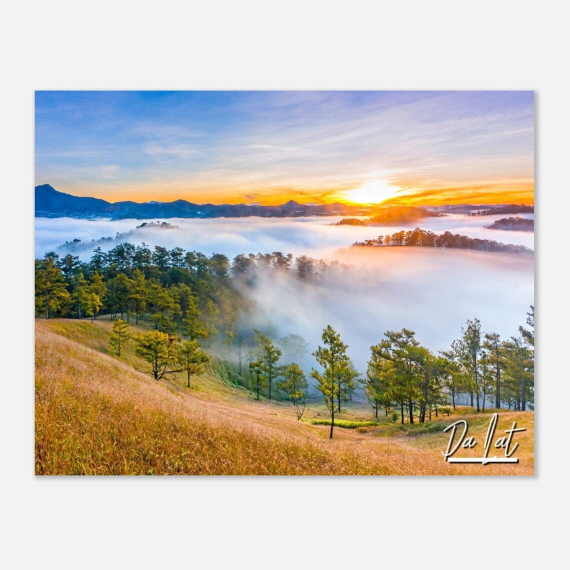 Da Lat Vietnam Hazy Sunrise Over Misty Hills Pine Trees Travel Poster