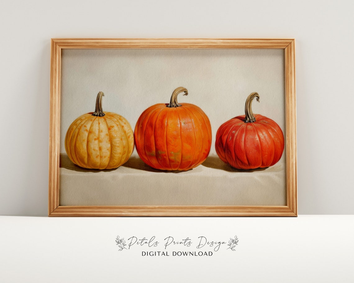 Three Pumpkins Still Life Autumn Harvest Thanksgiving Wall Art