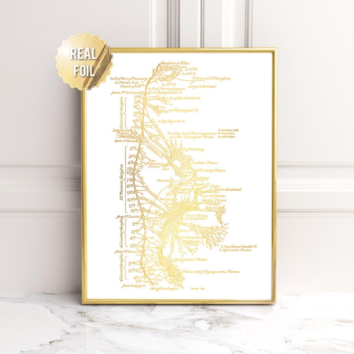 Neuroscience Gold Foil Art Print, Nervous System