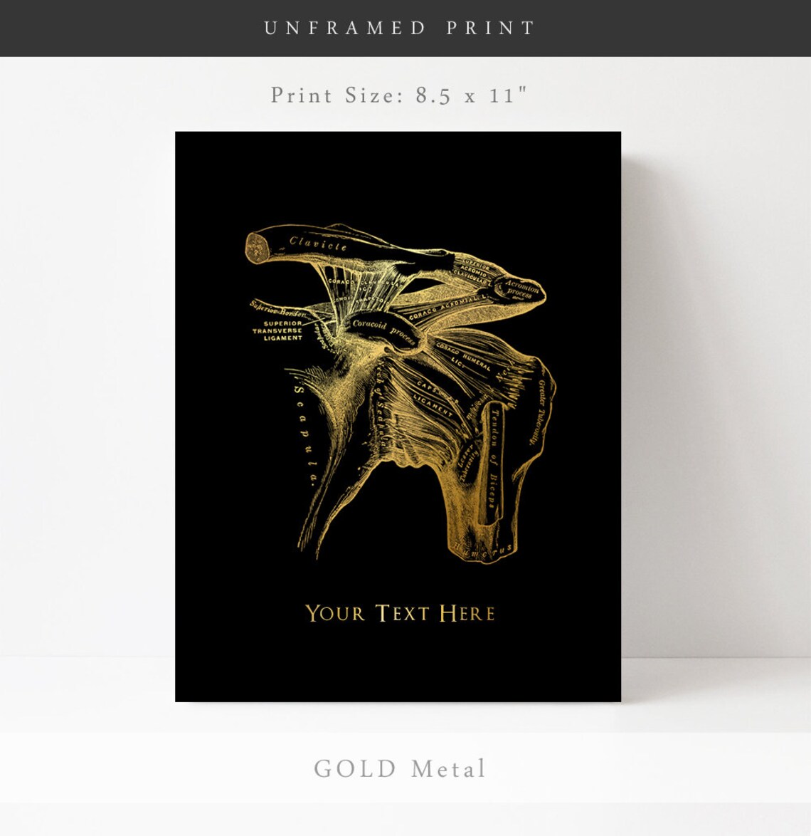 Personalized Shoulder Anatomy Gold Foil Orthopedic Surgeon Wall Print - Image 3