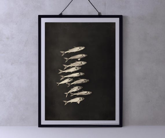 Black Fish Print Dark Wall Art Nautical Prints Coastal Poster Black Background Art Fish Prints Wall Art Nautical Wall Art Sealife Art