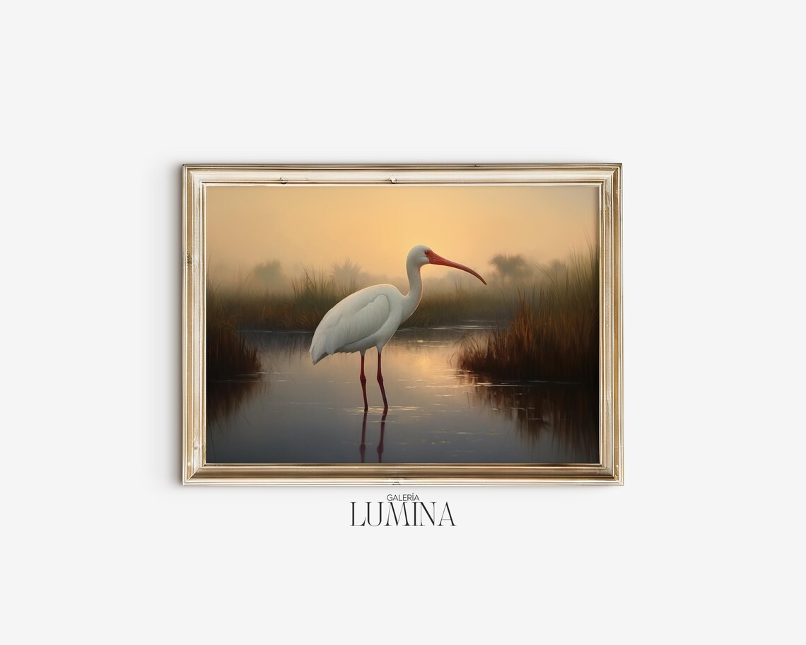 White Ibis Oil Painting Nature Wildlife Art Print - Image 2