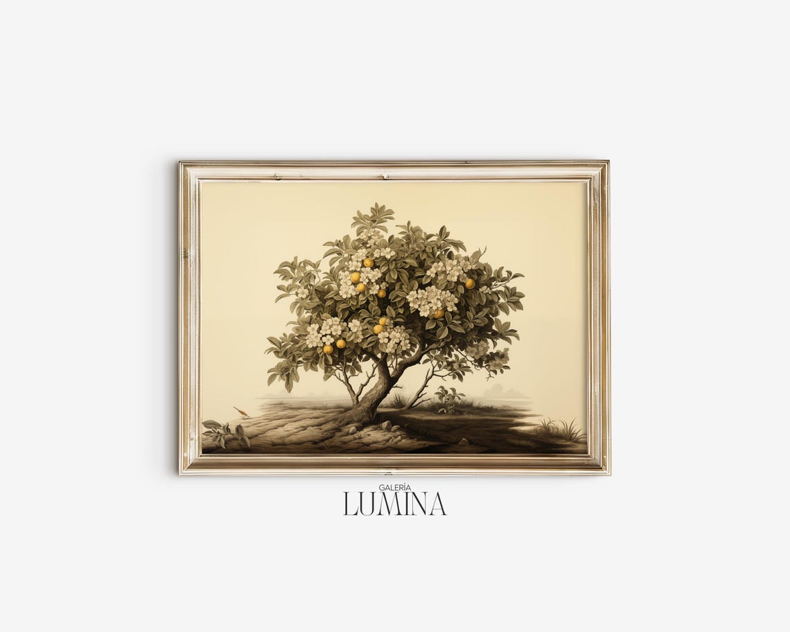 Antique Orange Tree Botanical Illustration With Fruit Poster - Image 2