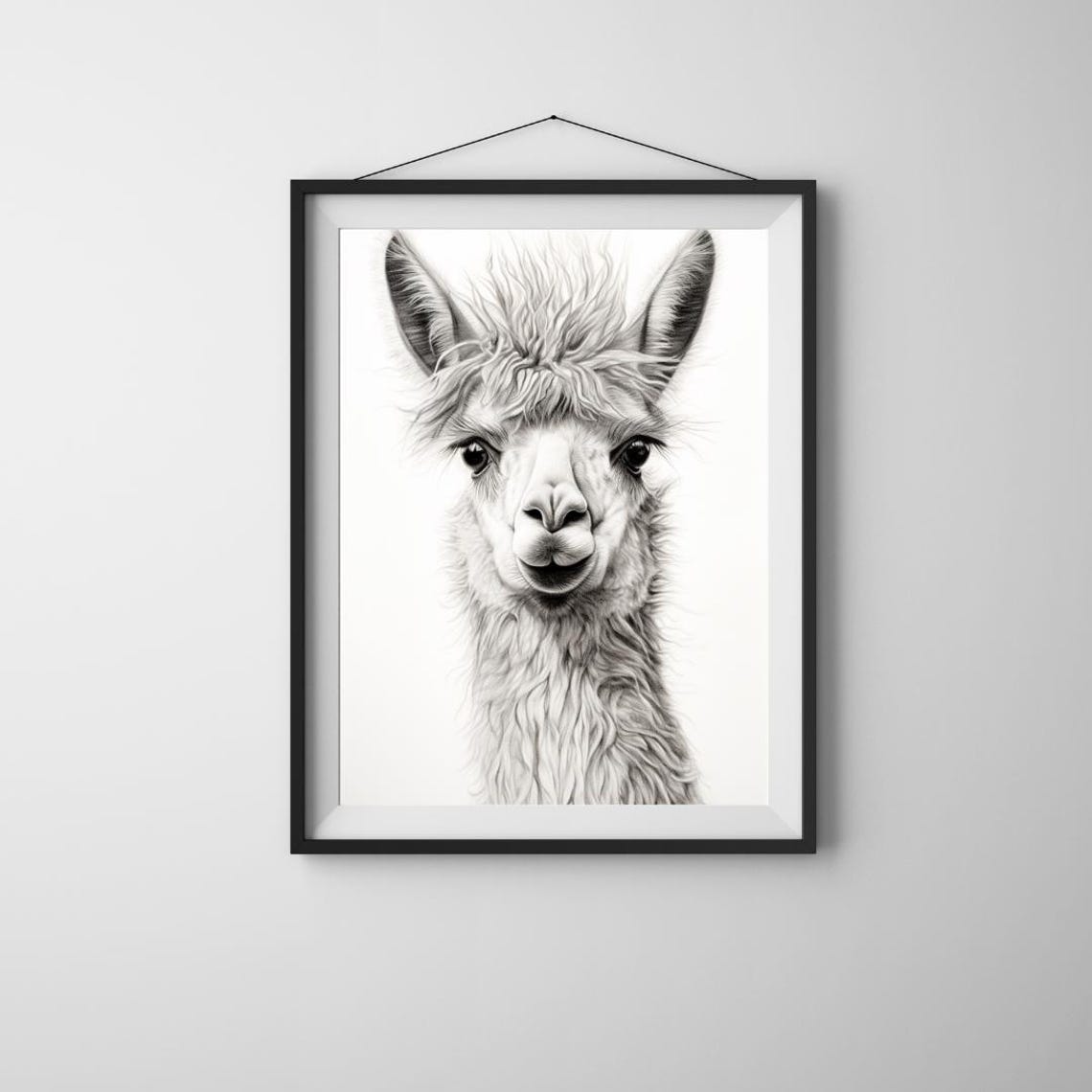 Charming Black White Llama Portrait Fluffy Animal Art Poster
