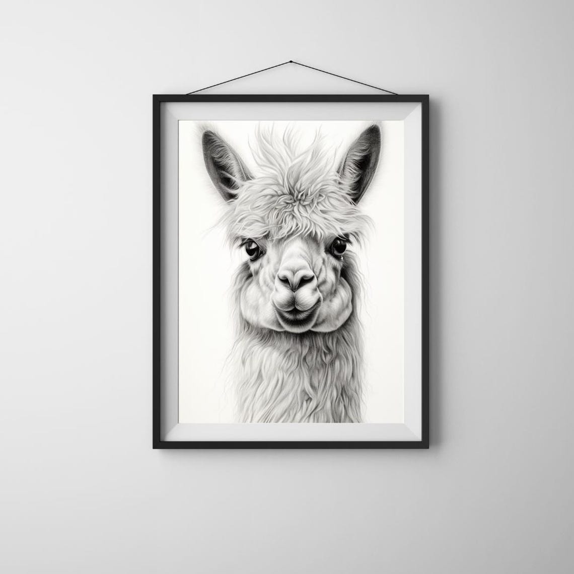 Elegant Black White Llama Portrait Minimalist Animal Photo Art Poster