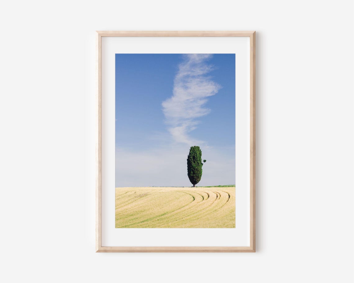 Lone Cypress Tree in Golden Wheat Field Minimalist Photo Poster