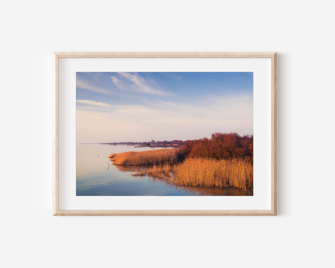 Golden Reeds Lagoon Tranquil Wetland Landscape Photography Art Print