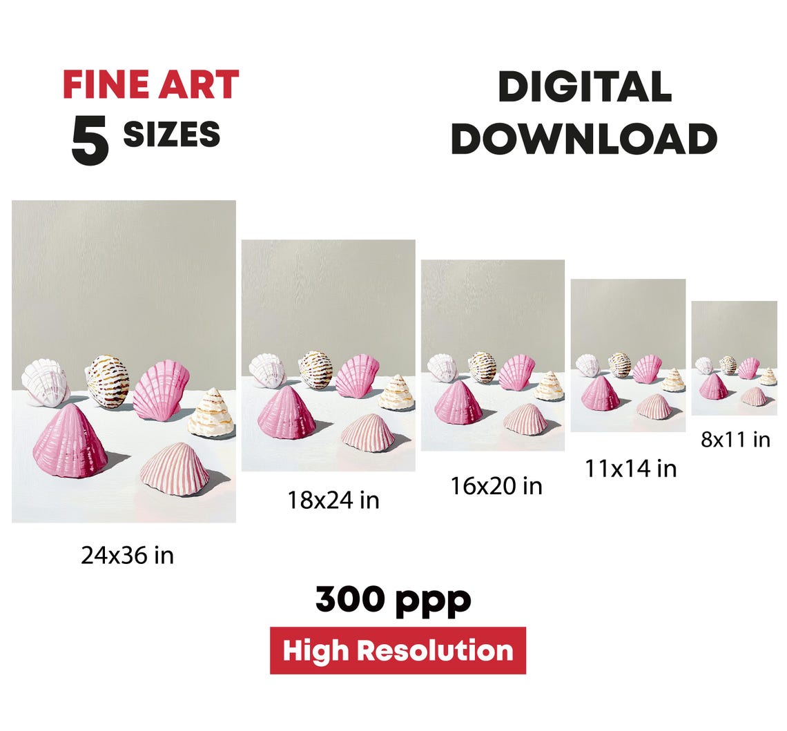 Pink And White Seashells Still Life Minimalist Coastal Beach Print - Image 4