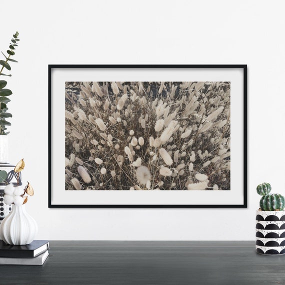 Tall Bunny Tail Grass Print Wall Art A4 A3 A2 A1