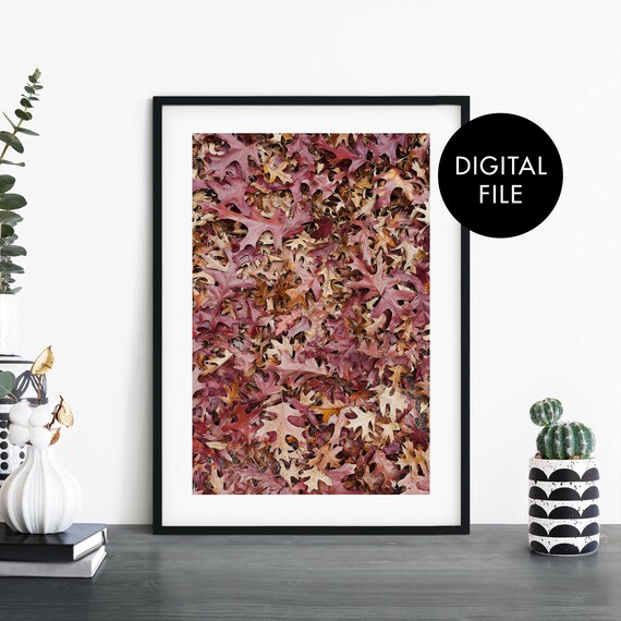 Autumn Oak Leaves Fall Foliage Digital File Instant Download Print