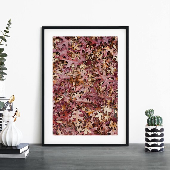 Autumn Oak Leaves Fall Foliage Ground Photo Nature Art Print