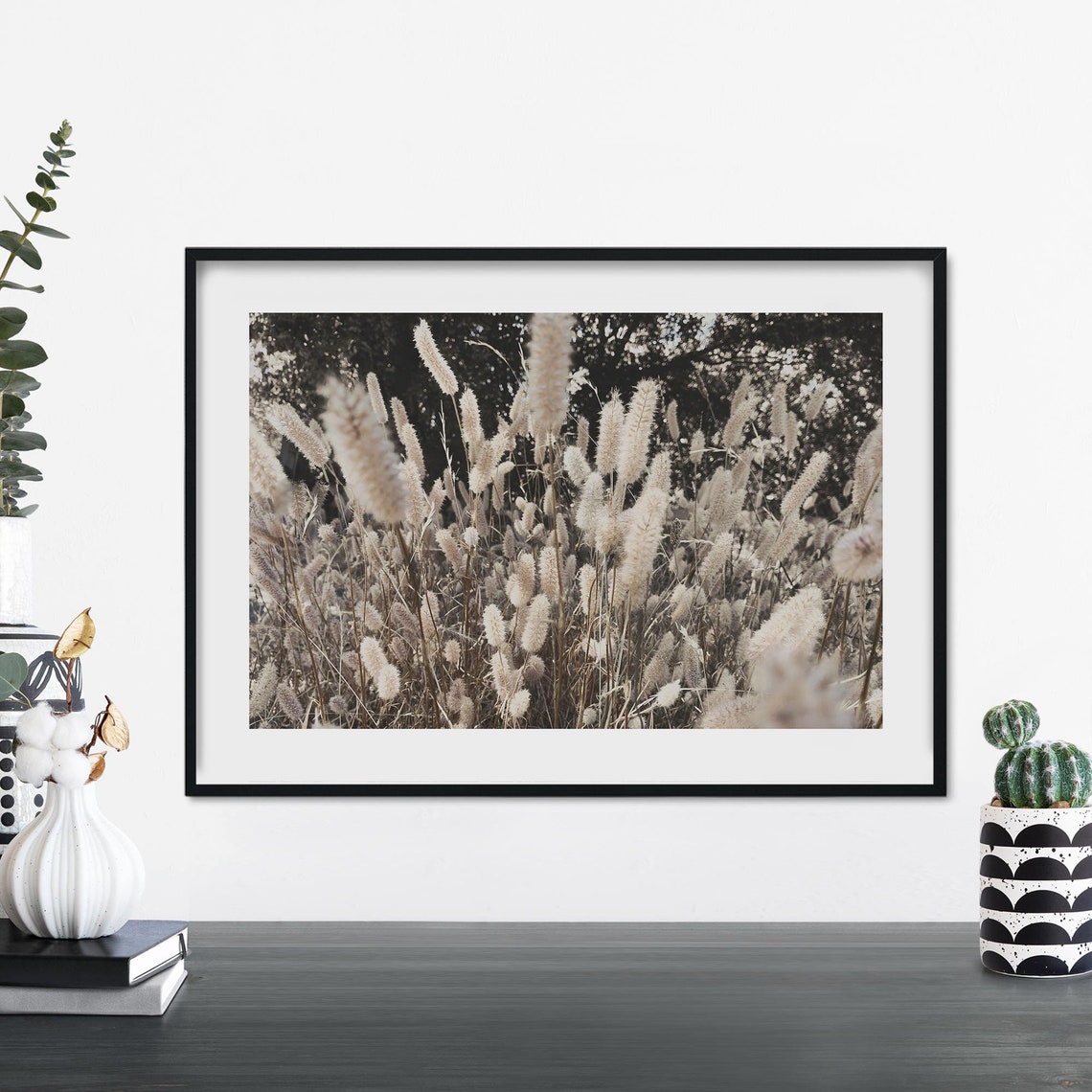 Tall Bunny Tail Grass Stalks Against Dark Trees Landscape Photo Print