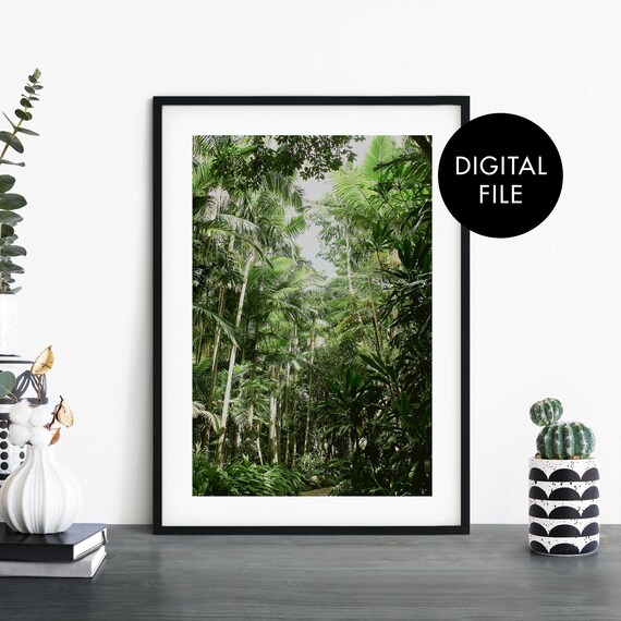 Lush Green Tropical Rainforest Digital Photography Jungle Wall Art