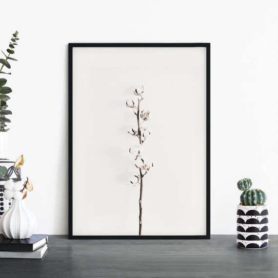 Delicate Cotton Stem Botanical Photography on White Minimalist Print