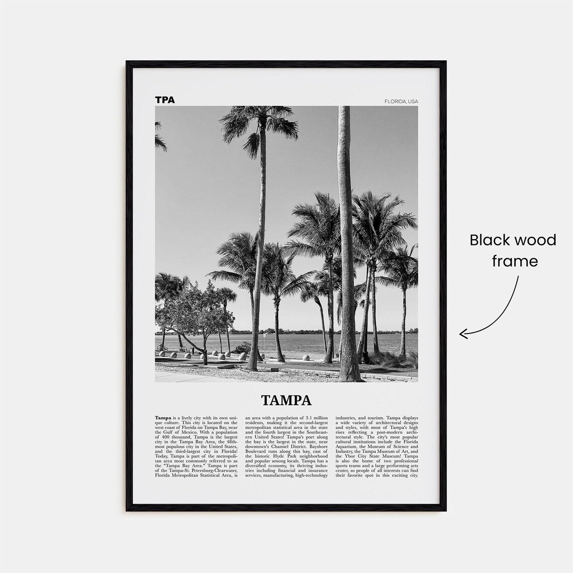 Tampa Black and White No. 3 Florida Travel Poster - Image 3