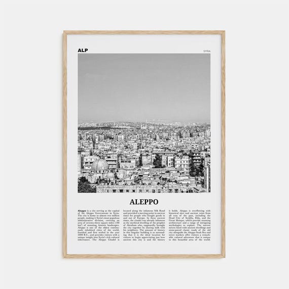 Aleppo Black and White Wall Art Poster, Syria