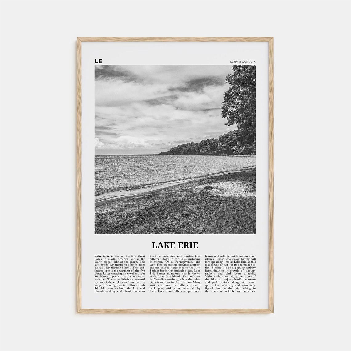 Lake Erie Black and White Travel Poster