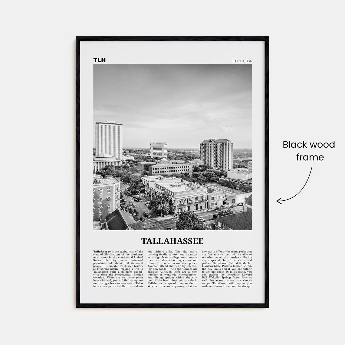 Tallahassee Black and White Travel Poster, Florida USA - Image 3