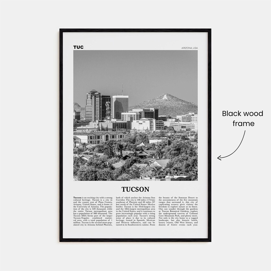 Tucson Black and White Travel Poster, Arizona - Image 3