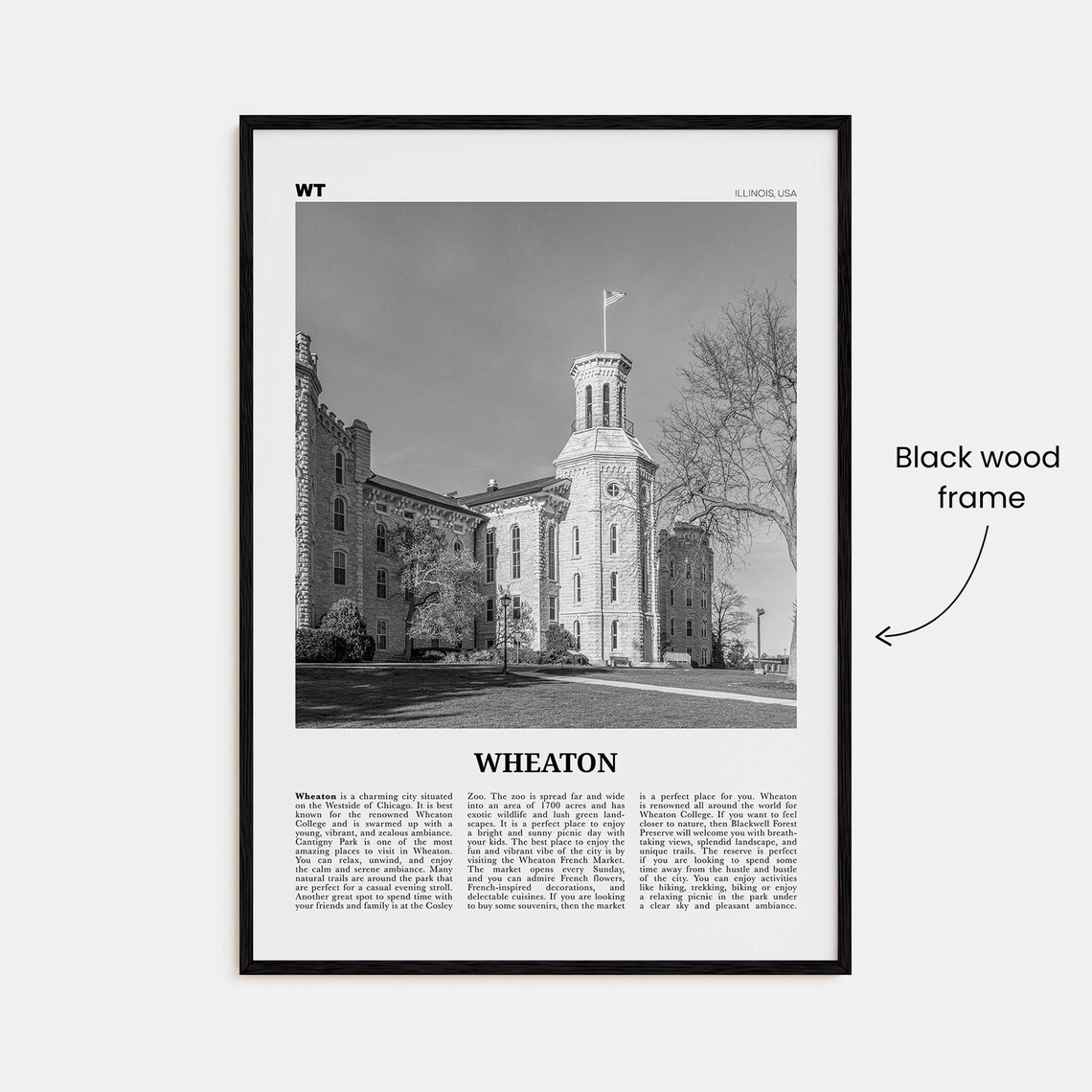 Wheaton, Illinois Black and White Map Art Print - Image 3