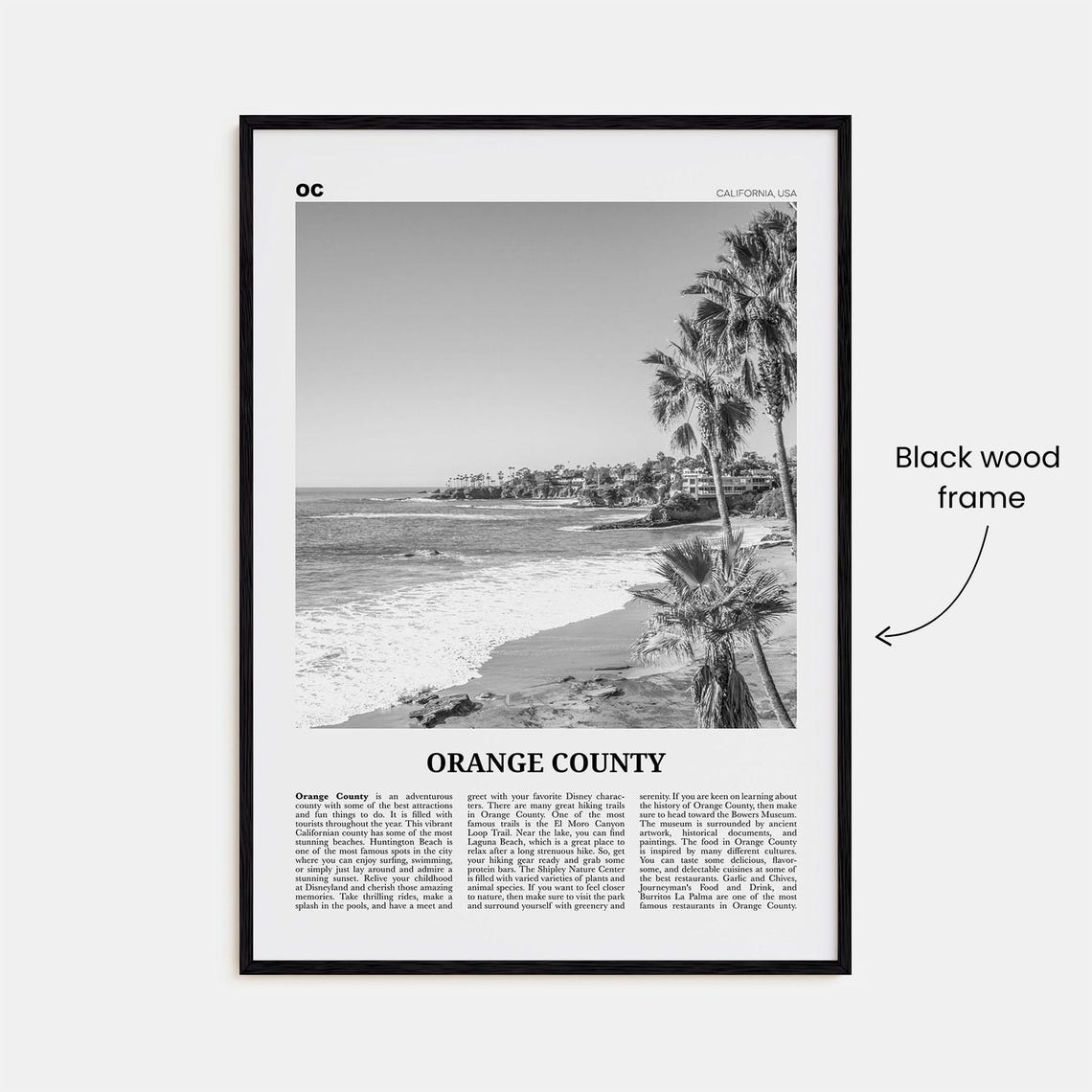 Orange County Black and White No. 1 Travel Poster - Image 3
