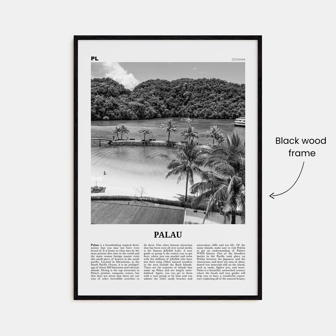 Palau Black and White Travel Poster, Oceania Ngerulmud - Image 3