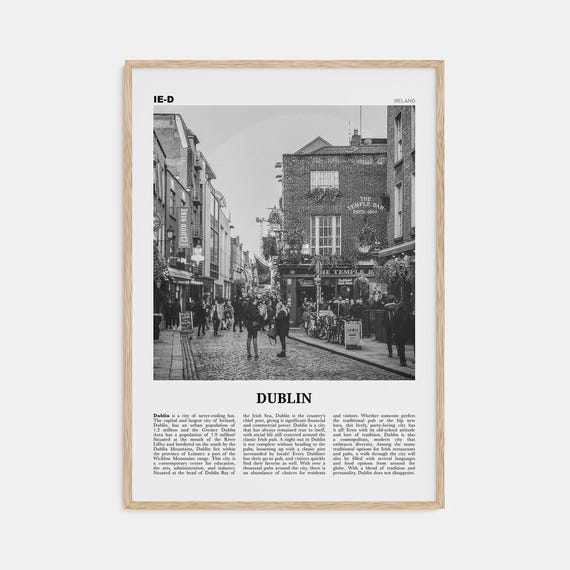 Dublin Black and White Travel Poster, Leinster