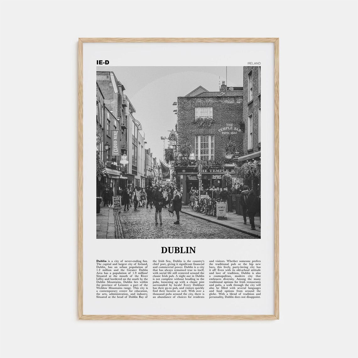 Dublin Black and White Travel Poster, Leinster