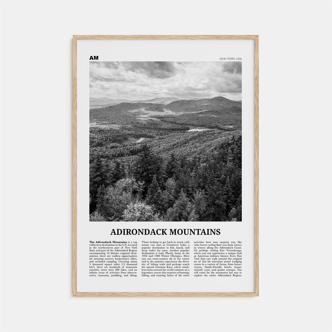Adirondack Mountains Black and White Travel Poster