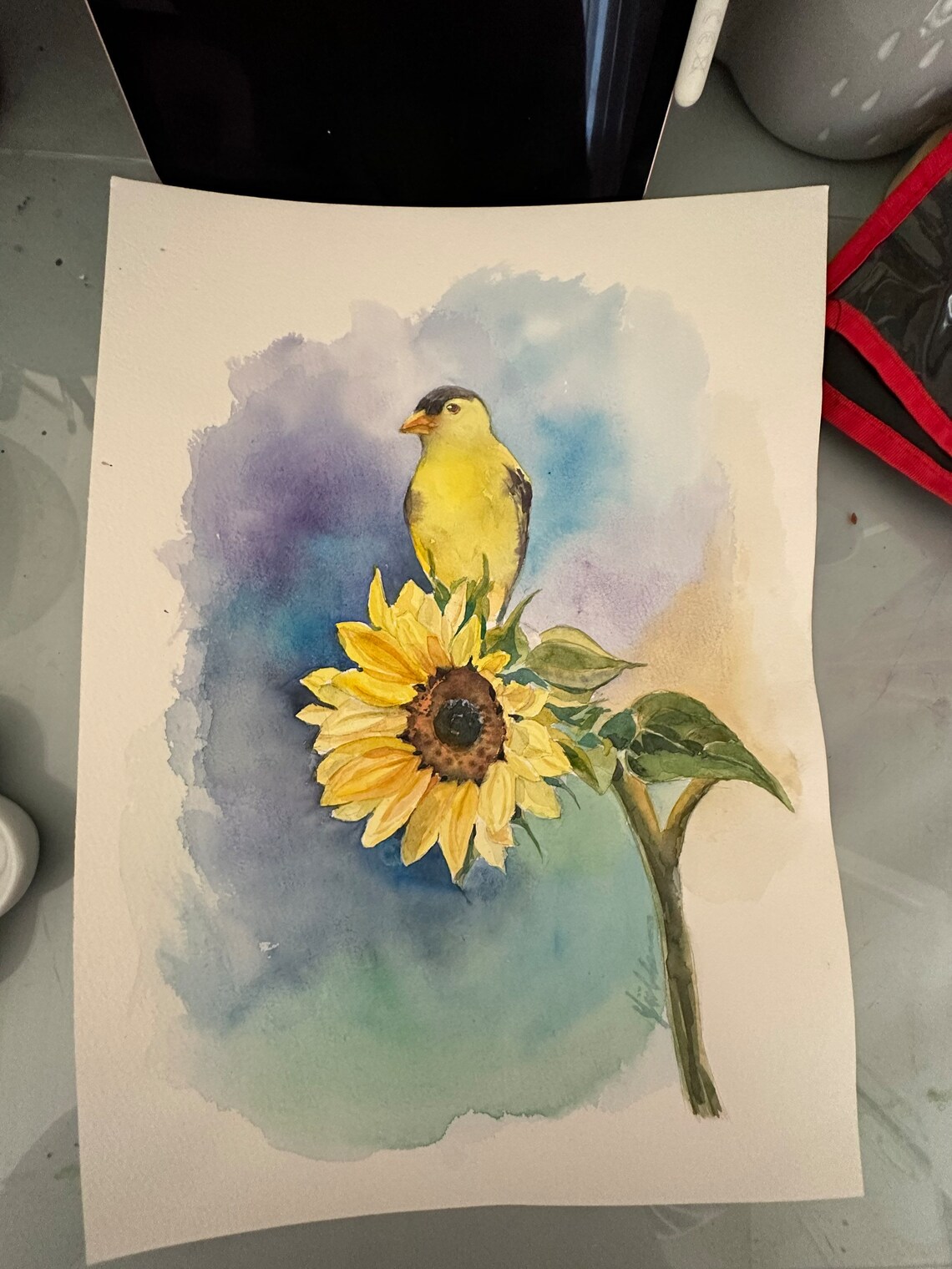 American Goldfinch on Sunflower Watercolor Summer Bird Poster - Image 5