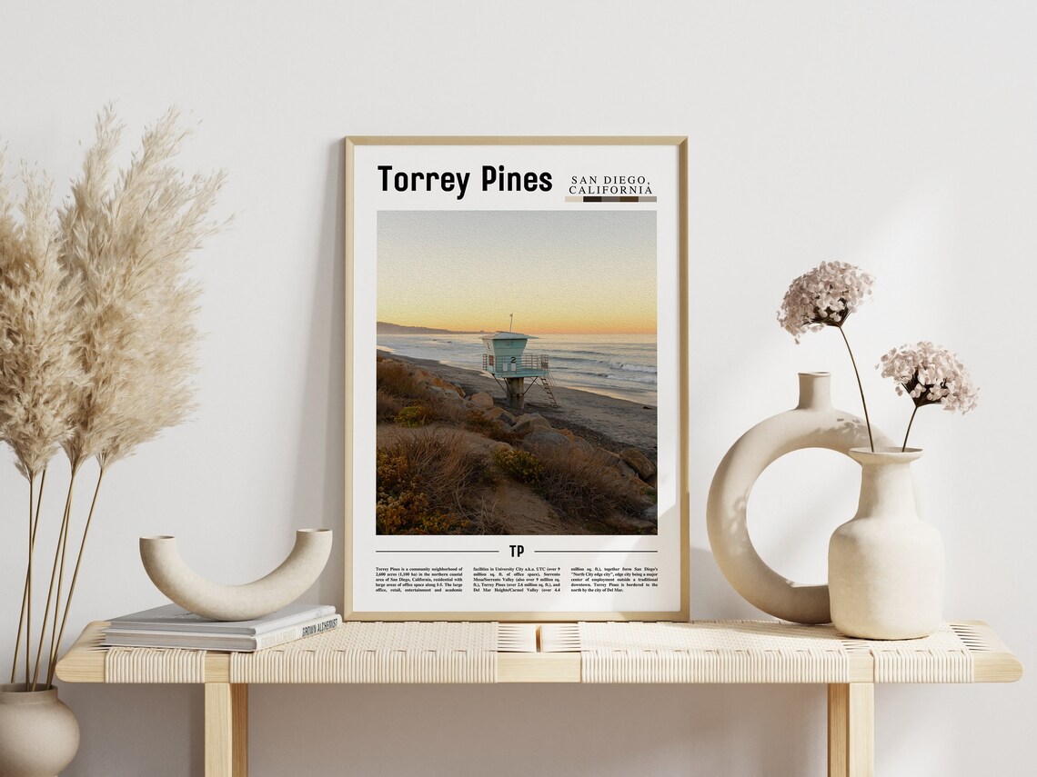 Torrey Pines San Diego California Beach Lifeguard Travel Poster - Image 3