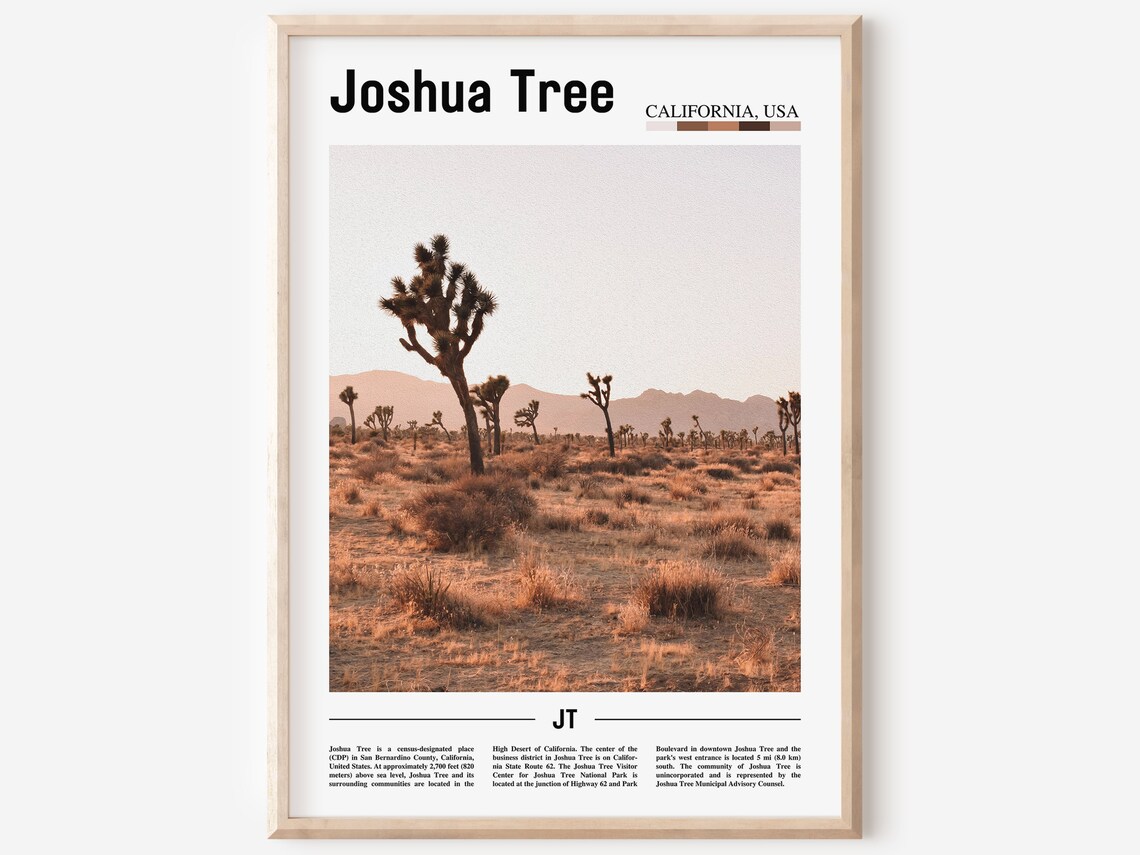 Joshua Tree California Desert Landscape at Golden Hour Poster
