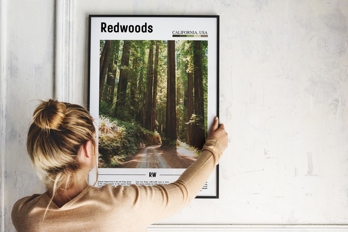 Redwoods Print Redwoods Poster Redwoods Wall Art Minimal Travel Print Minimal City Poster Travel Destination Print Oil Painting Poster - Image 2