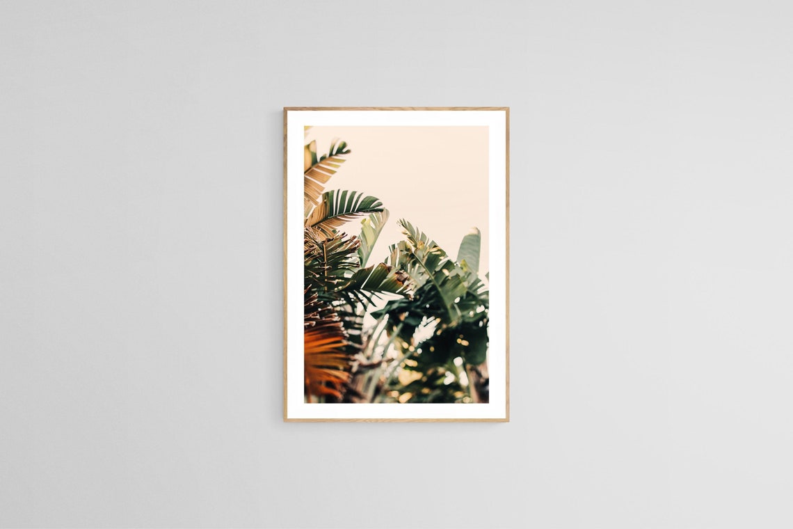 Tropical Botanical Photograph, Palm Tree Art Print