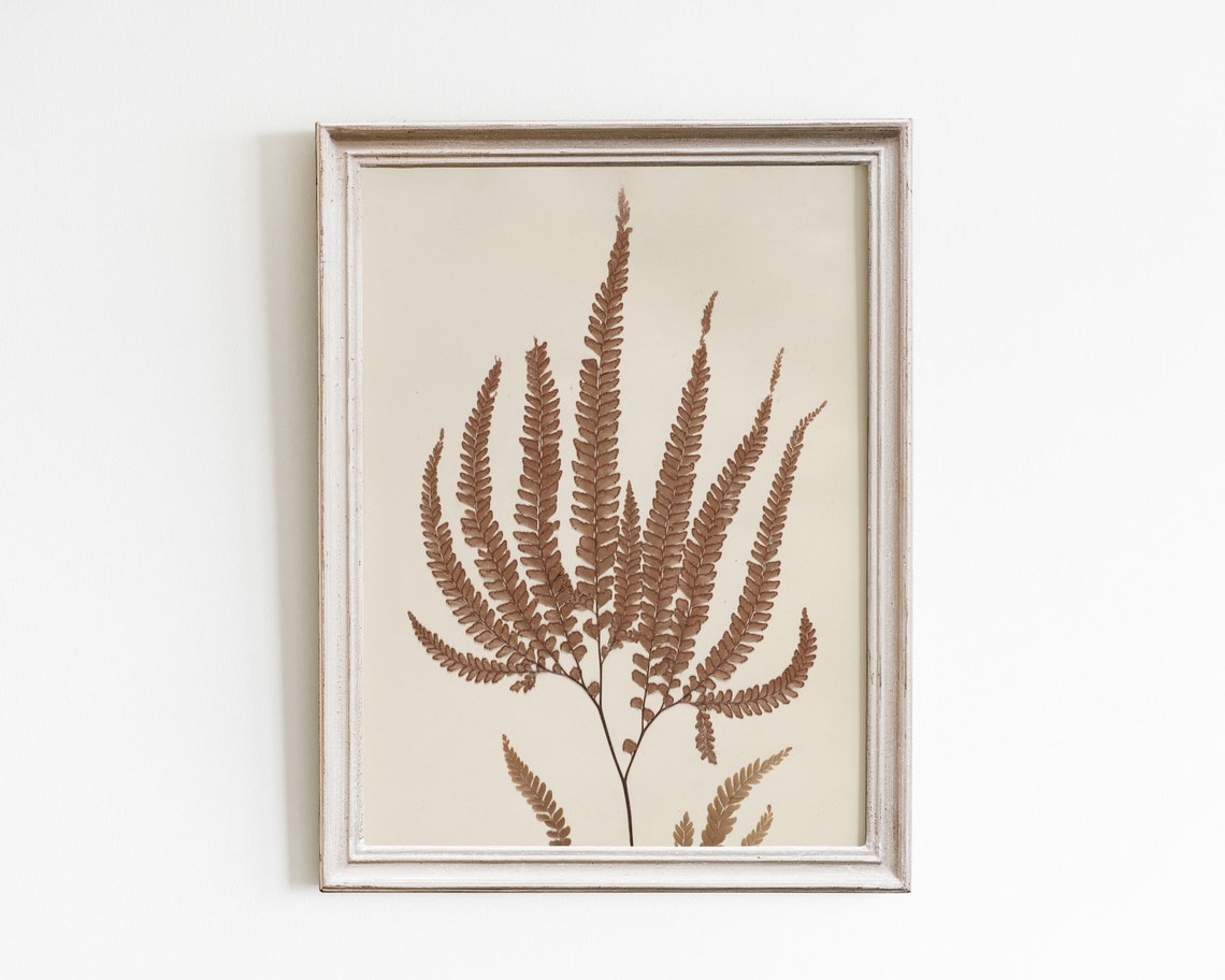 Pressed Flower Fern Vintage Botanical Art Print