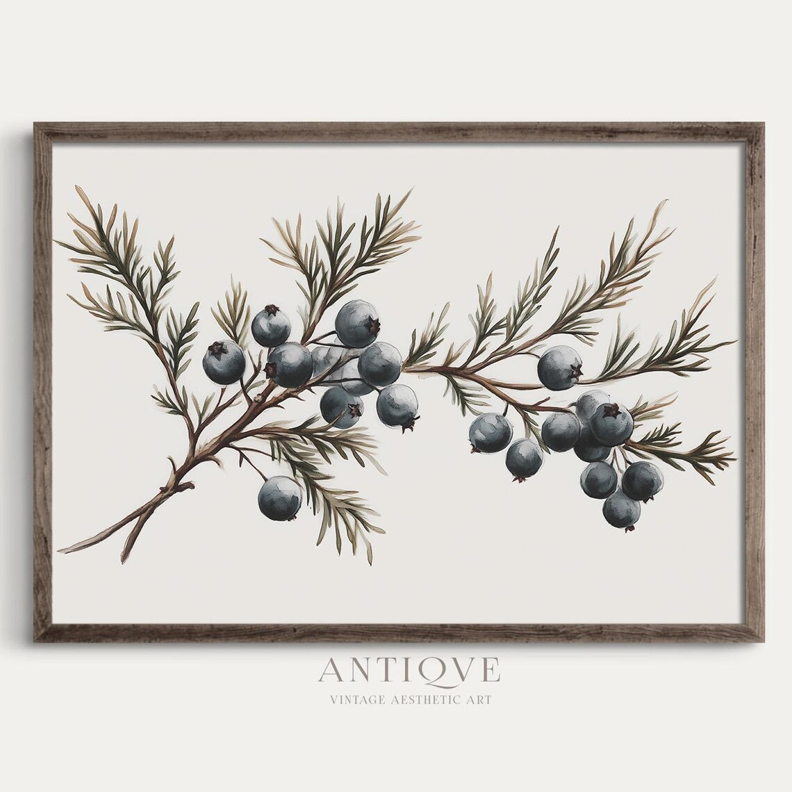 Juniper Berry Branch Rustic Holiday Art Print