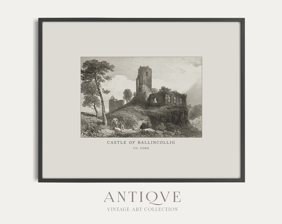 Castle Of Ballincollig Co Cork Ireland Antique Engraving Poster