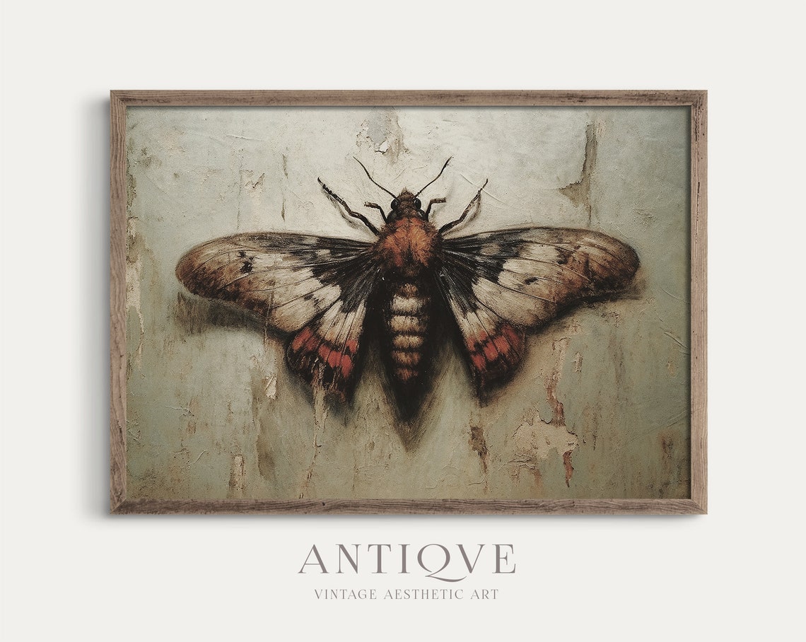 Moth On A Wall Light Academia Art Print