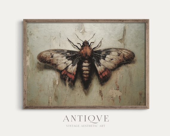 Moth On A Wall Light Academia Art Print