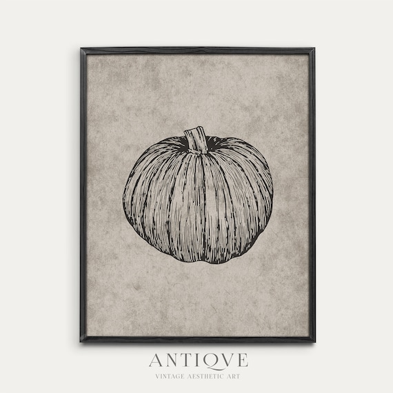 Vintage Sketch Of A Pumpkin, Halloween Gothic Art