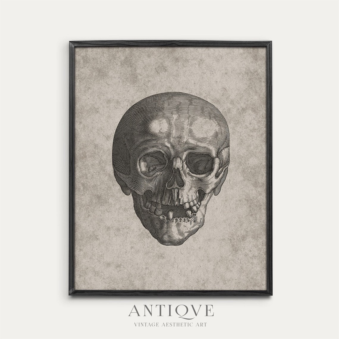 Antique Anatomical Skull Engraving Vintage Science Illustration Print