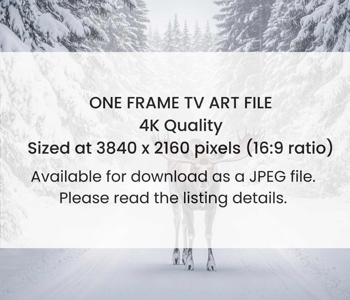 Moose Snowy Forest Road Winter Wildlife Majestic Antlers Photo Poster - Image 3