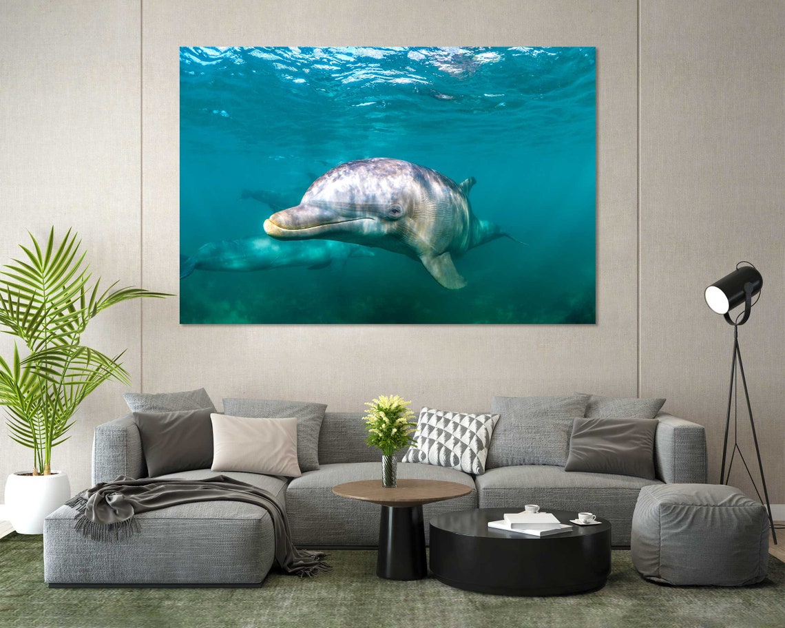 Smiling Bottlenose Dolphin Underwater Turquoise Ocean Wall Poster - Image 3