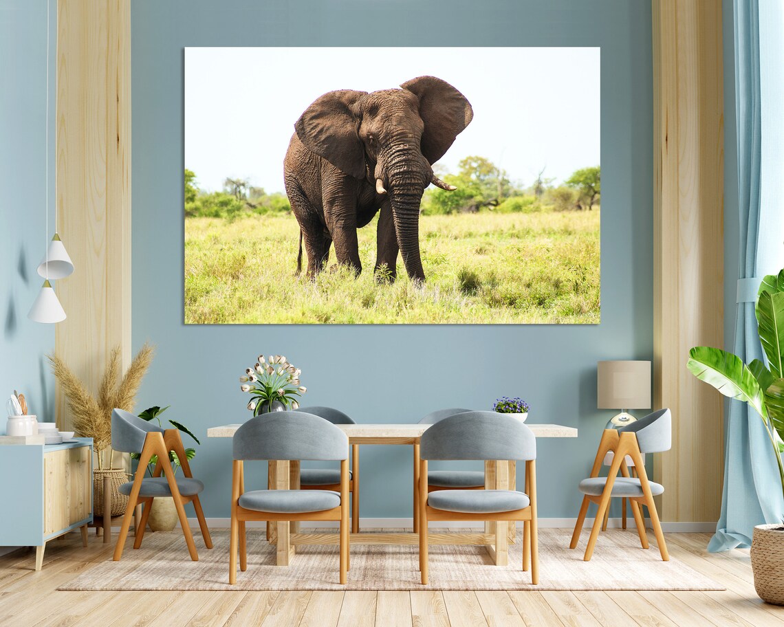 African Elephant Walking Grassland Savanna Wildlife Photography Poster - Image 3
